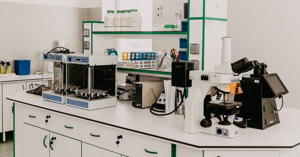 Western Europe’s hottest June on record is what climate risk looks like when the nights stop cooling down